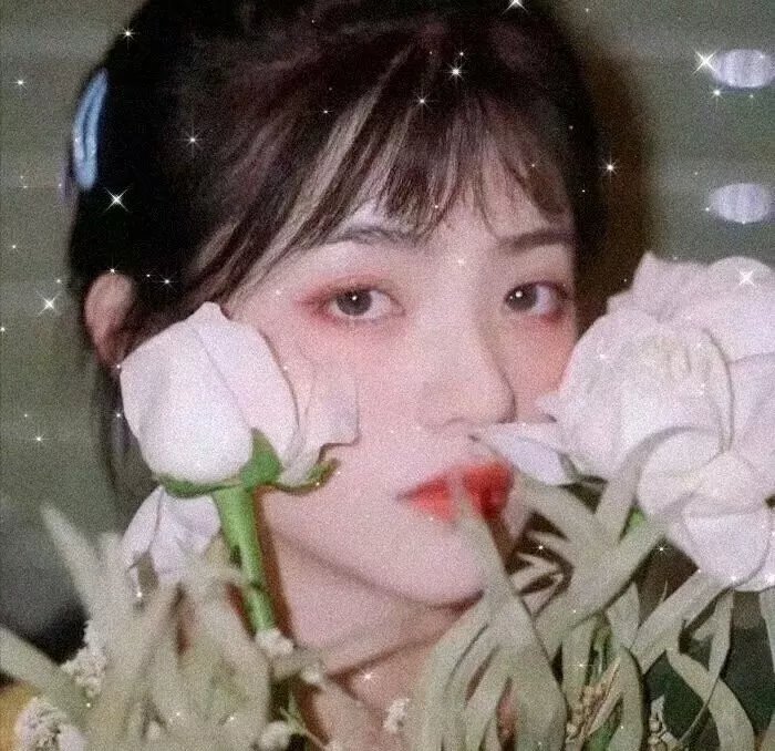 真爱失忆中